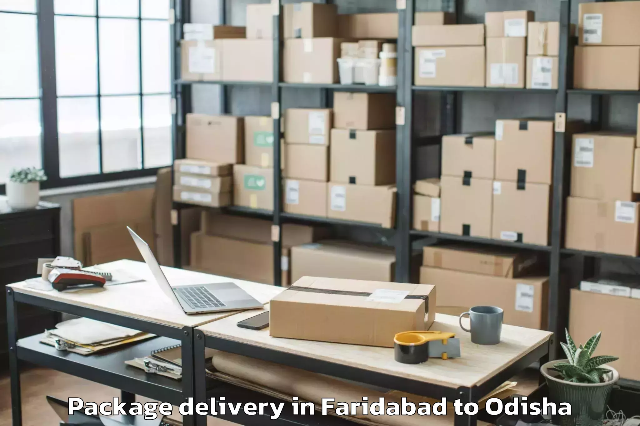 Trusted Faridabad to Xim University Harirajpur Package Delivery